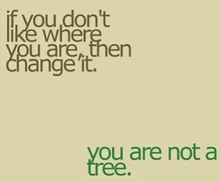 true-quotes-you-are-not-a-tree